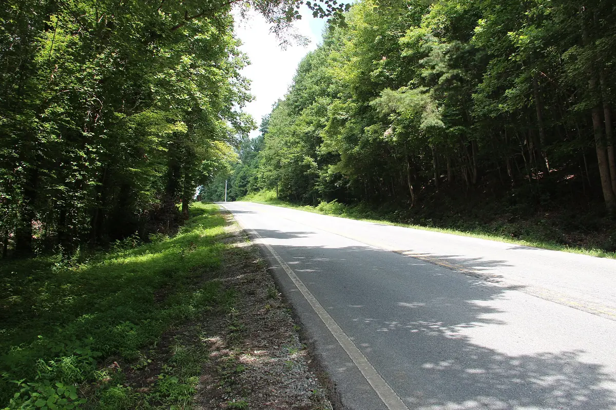 A quiet, tree-lined stretch of Aska Road near Blue Ridge